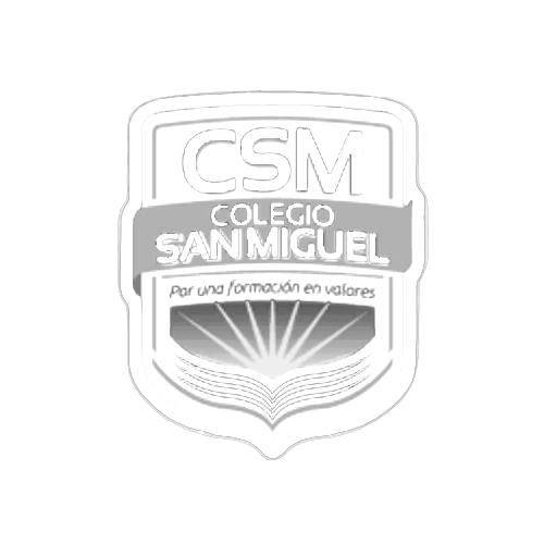 CSM