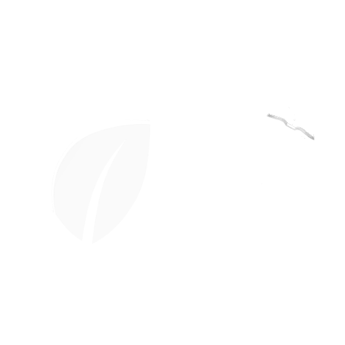 Los Cabos