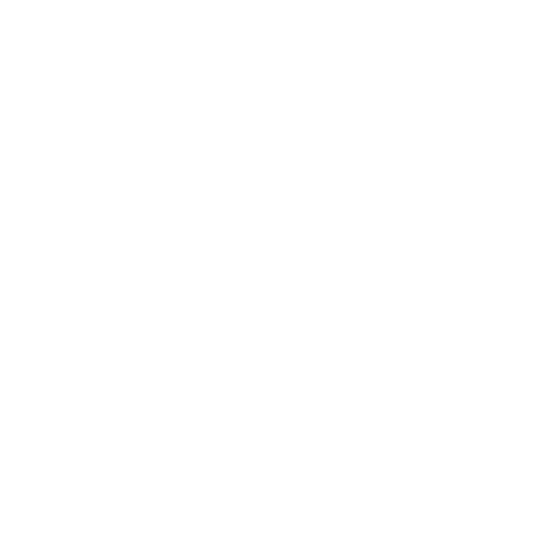 Mexico Roma