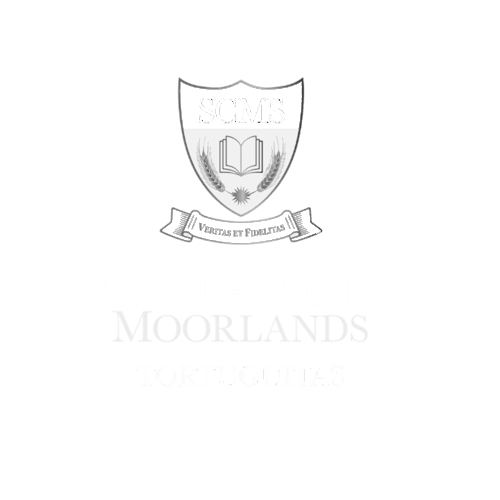 St. Cath Tortugitas